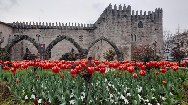 A vibrant garden of red tulips blooms in front of a majestic castle, showcasing the beauty of Braga Tours.