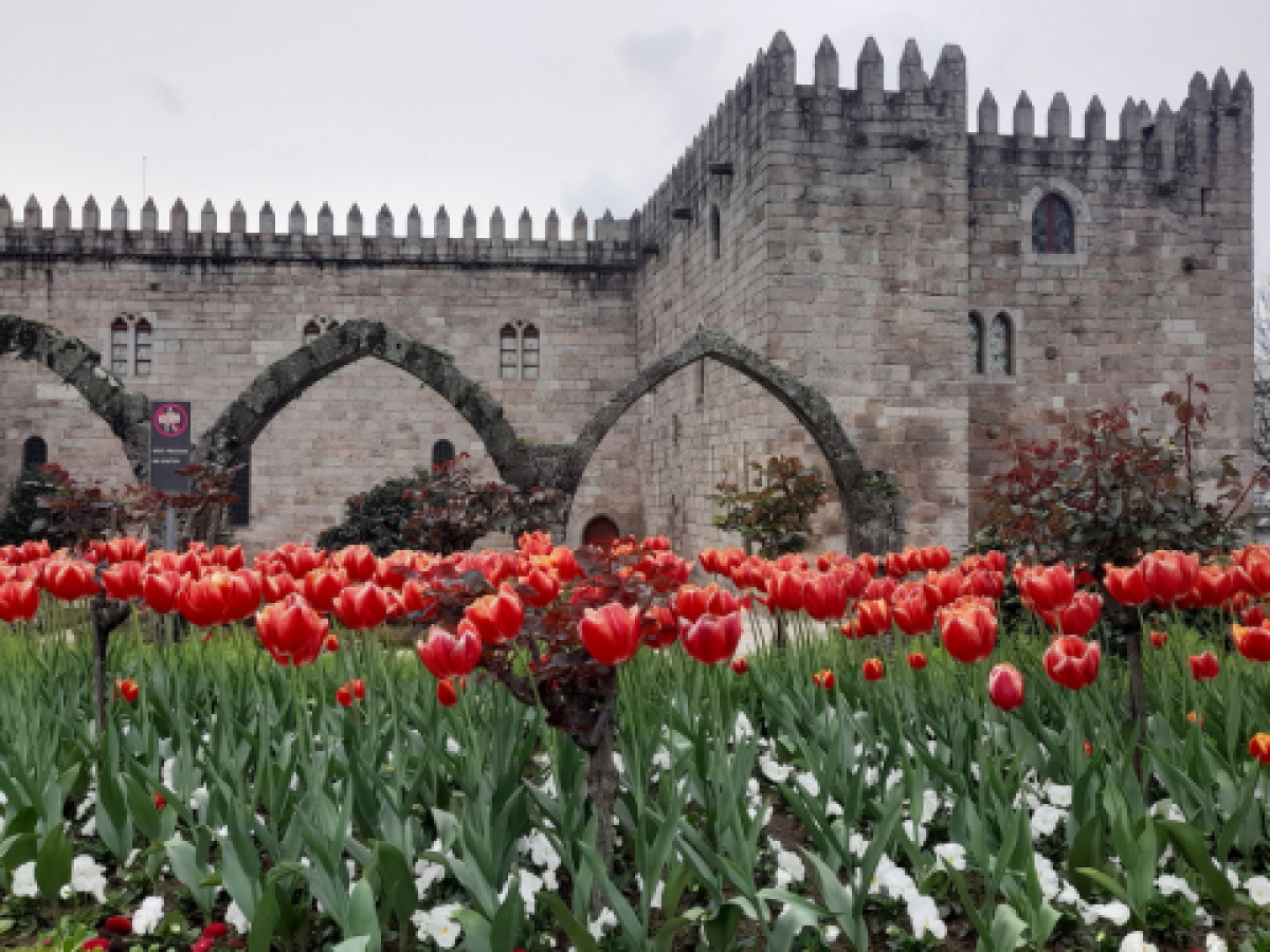 A vibrant garden of red tulips blooms in front of a majestic castle, showcasing the beauty of Braga Tours.