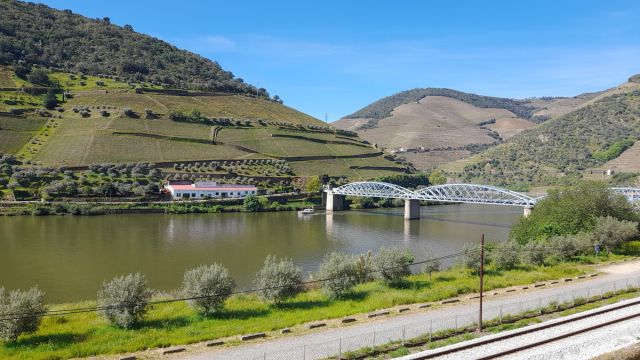 A serene boat floats on the Douro River, capturing during the tour