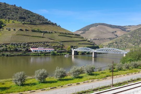 A serene boat floats on the Douro River, capturing during the tour