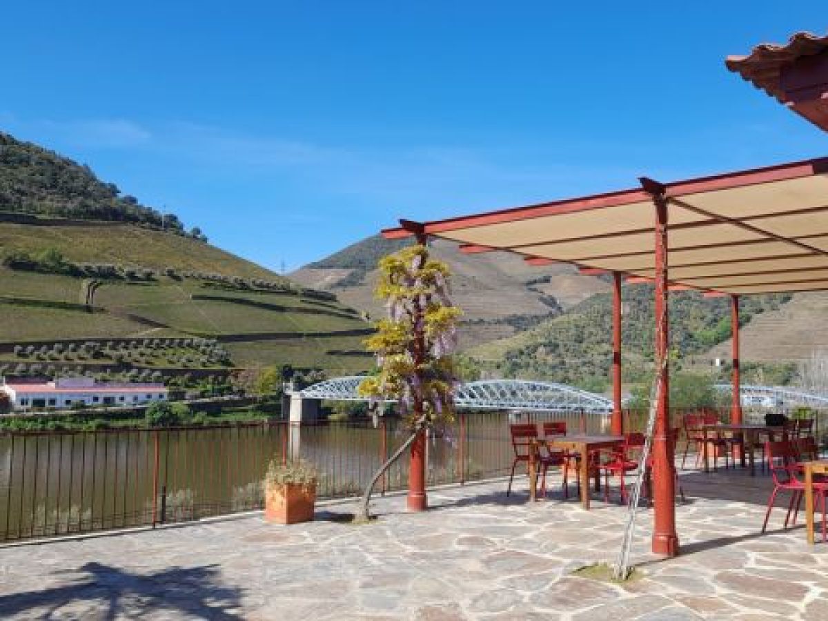 Scenic patio overlooking the Douro River, perfect for cooking classes in Portugal, surrounded by lush greenery and vibrant flowers.
