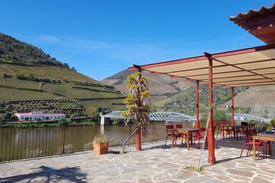 Scenic patio overlooking the Douro River, perfect for cooking classes in Portugal, surrounded by lush greenery and vibrant flowers.