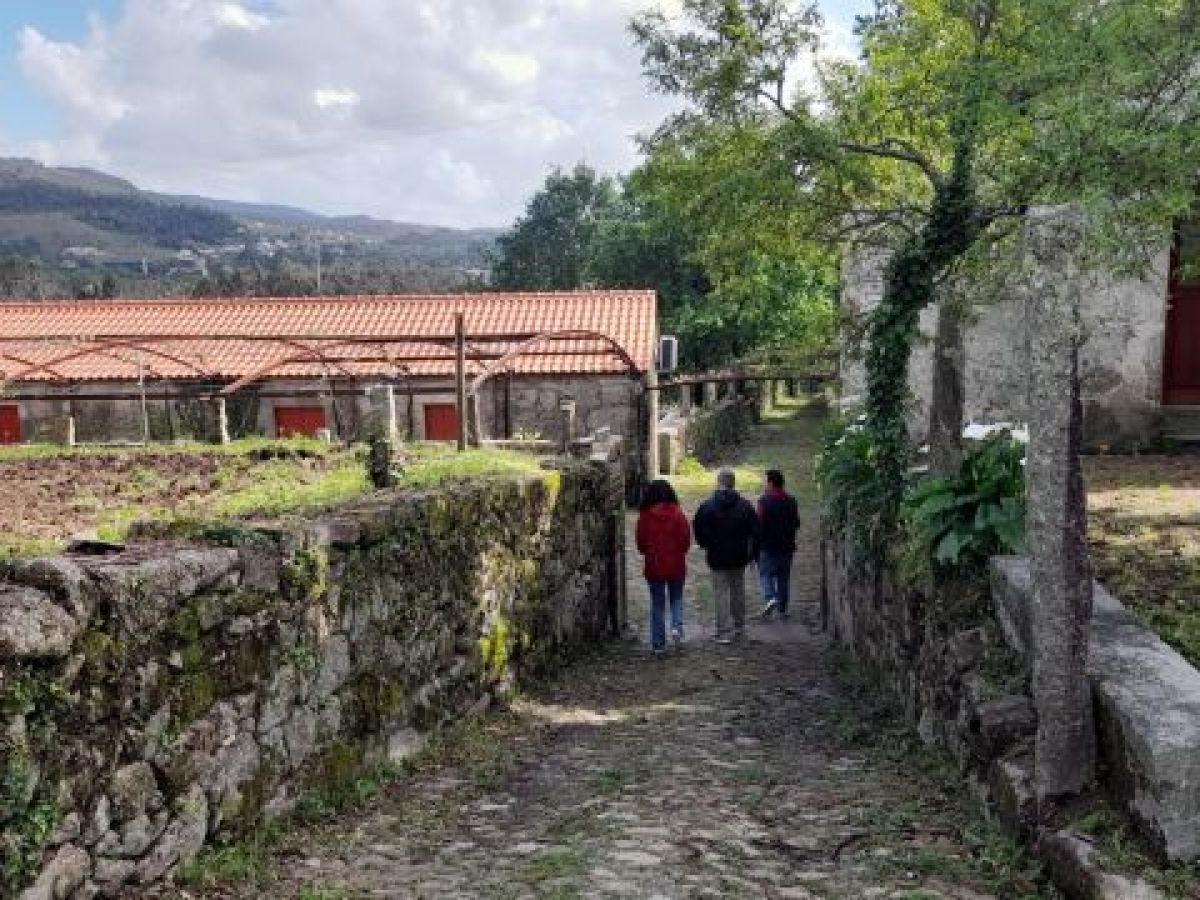 Two people stroll along a narrow mountain path, surrounded by lush vineyards on a scenic food and wine tour in Portugal.