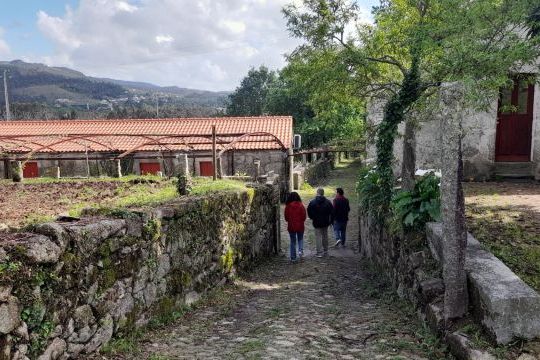 Two people stroll along a narrow mountain path, surrounded by lush vineyards on a scenic food and wine tour in Portugal.