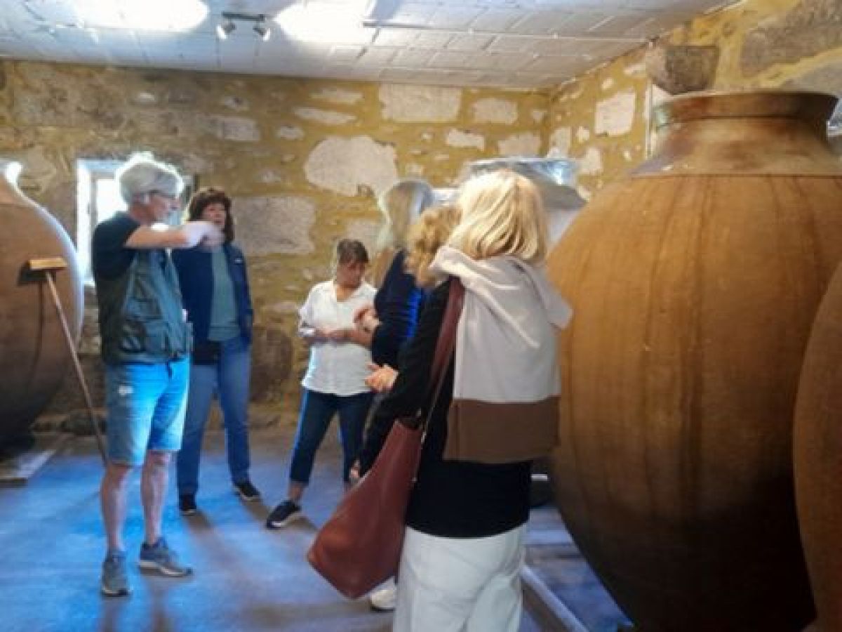 A group of people gathered around a large vase, enjoying a private wine tasting in Portugal