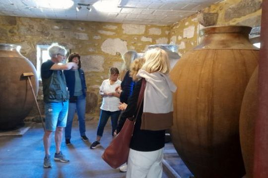 A group of people gathered around a large vase, enjoying a private wine tasting in Portugal