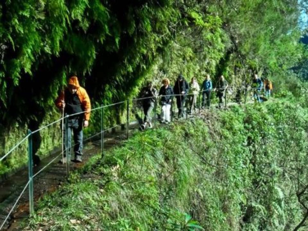 Group of explorers navigating the enchanting Levada trails in Madeira, with lush vegetation and stunning views all around.