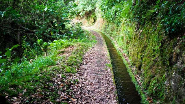 Adventurers trekking along the picturesque Levada paths in Madeira, immersed in nature's beauty and breathtaking scenery.