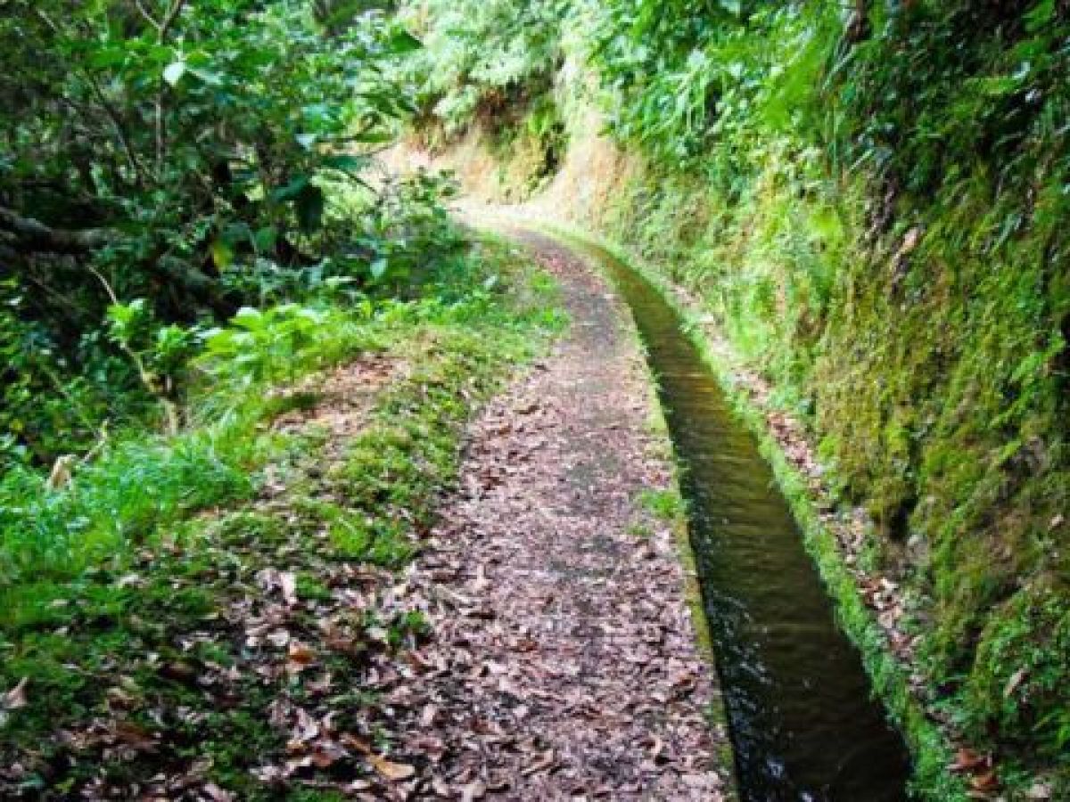 Adventurers trekking along the picturesque Levada paths in Madeira, immersed in nature's beauty and breathtaking scenery.