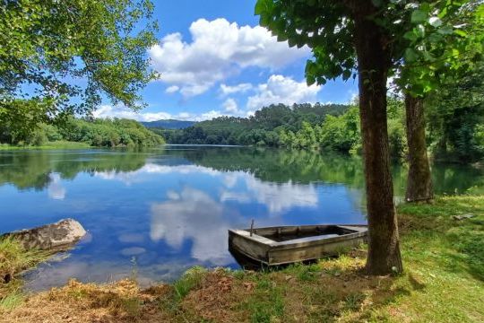 A tranquil boat on the lake's edge, capturing the essence of Portugal's countryside and its rich traditional culinary experiences.