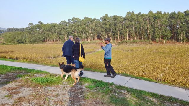 A small group of three people and a dog stroll along a path by a pond, enjoying a winery visit in Portugal