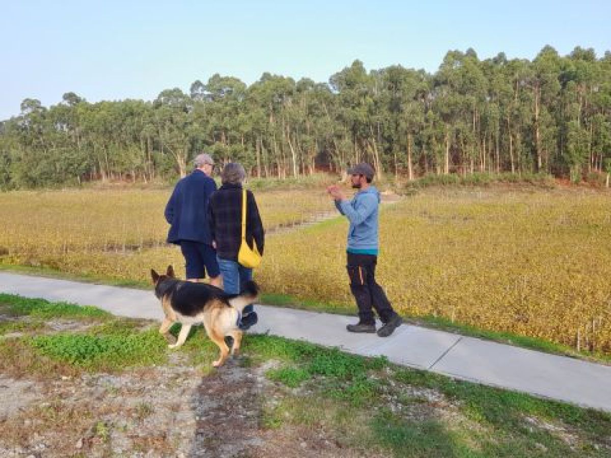 A small group of three people and a dog stroll along a path by a pond, enjoying a winery visit in Portugal