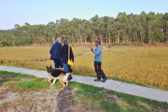 A small group of three people and a dog stroll along a path by a pond, enjoying a winery visit in Portugal