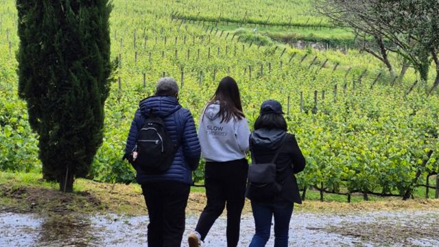 A small group of three walks through a vineyard path, enjoying a winery tour in the beautiful countryside of Portugal.