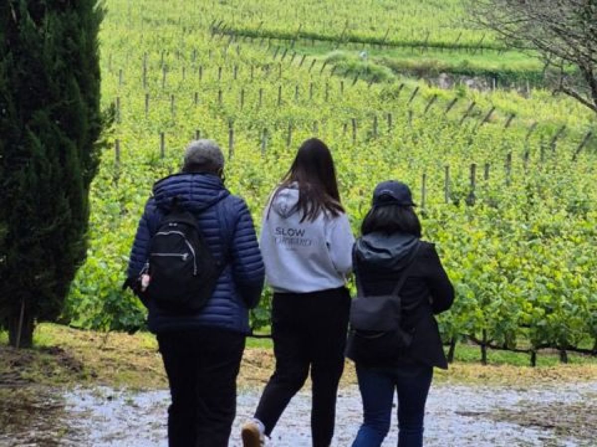 A small group of three walks through a vineyard path, enjoying a winery tour in the beautiful countryside of Portugal.