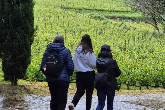 A small group of three walks through a vineyard path, enjoying a winery tour in the beautiful countryside of Portugal.