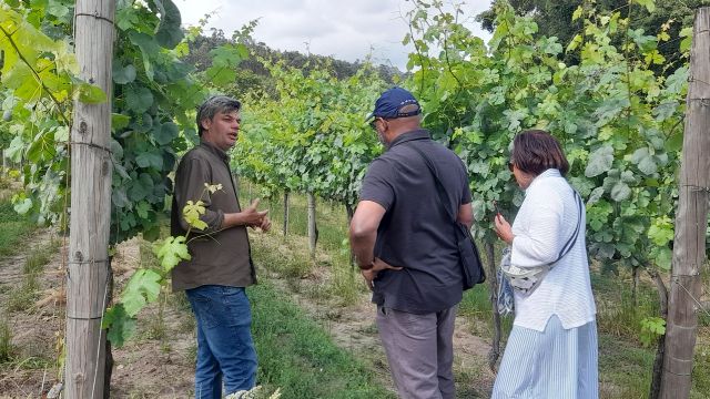 A couple engages in conversation with a guide in a picturesque vineyard during their private tour of a Portuguese winery.