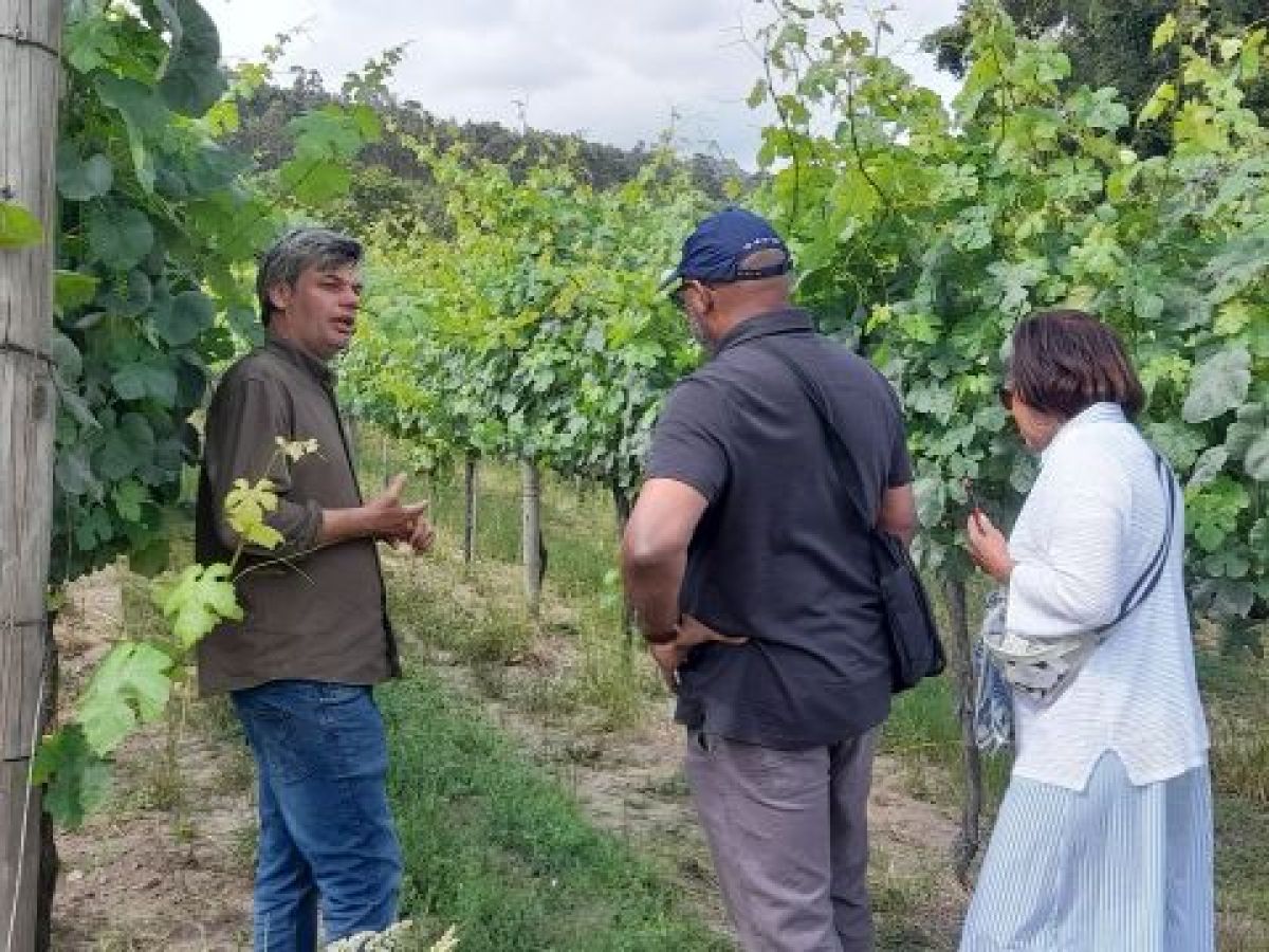 A couple engages in conversation with a guide in a picturesque vineyard during their private tour of a Portuguese winery.