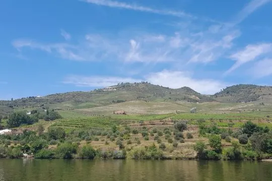 Beautiful Douro Valley vineyards stretch along the river, offering a stunning view of the lush landscape and hills.