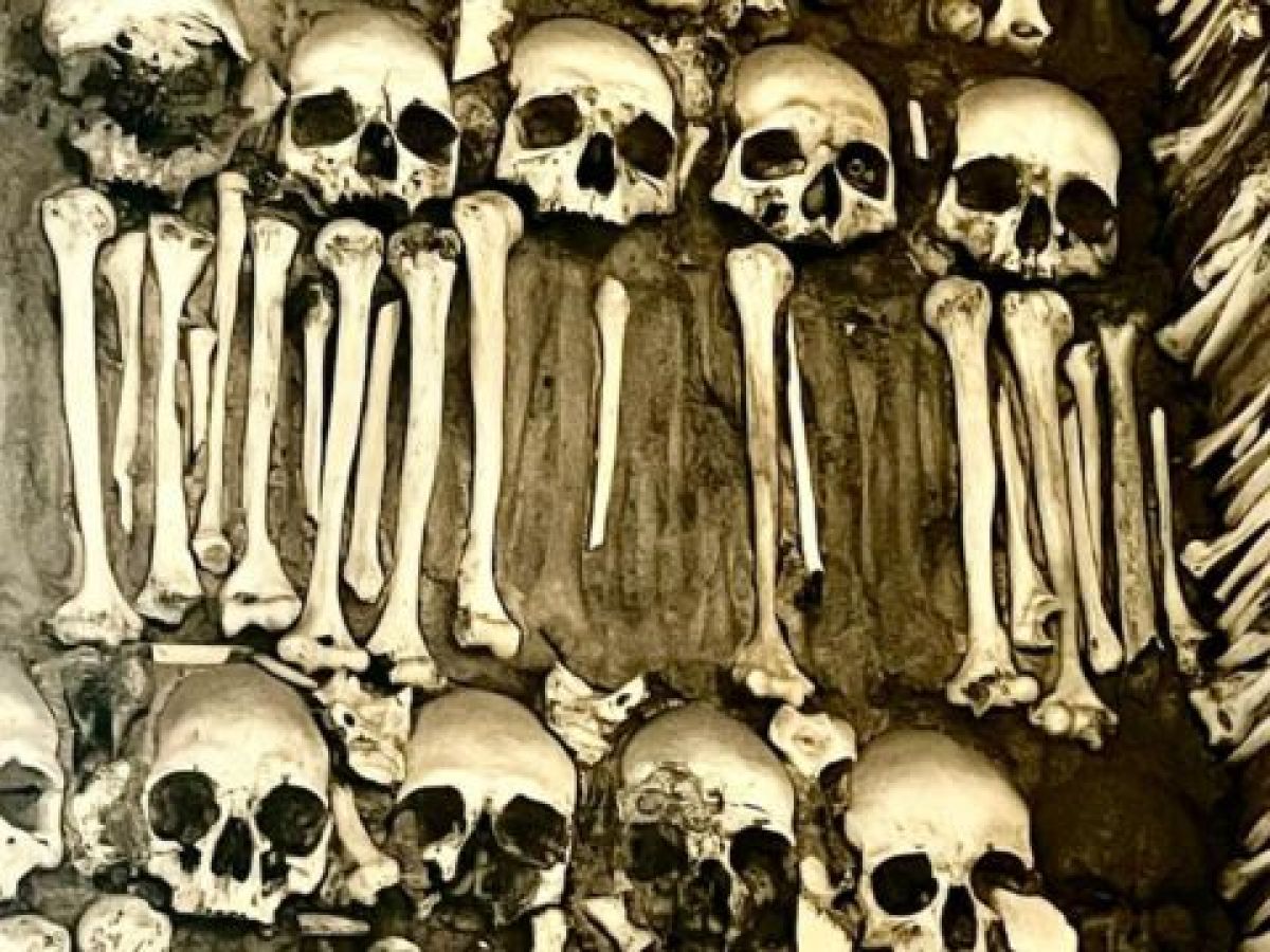 A dense arrangement of skulls within the Chapel of Bones in Evora, Portugal, illustrating the site's eerie and historical significance.