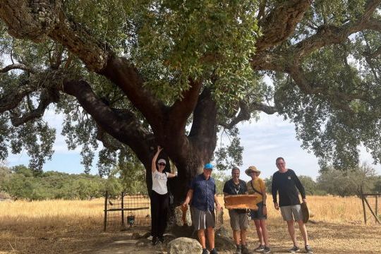 A group of people gathered under a large tree during a private cork tour in Évora.