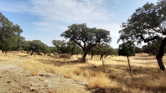 beautiful landscape in Alentejo Region Portugal